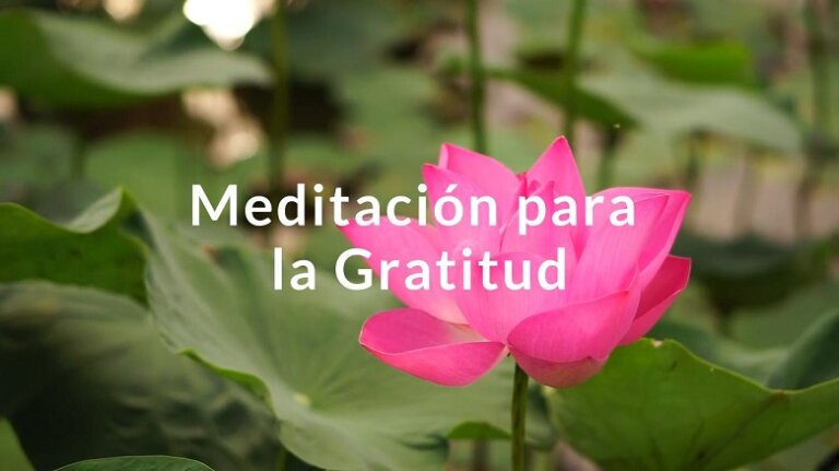 Gratitud